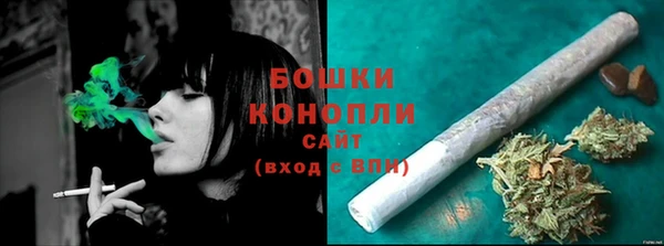 ГАЛЛЮЦИНОГЕННЫЕ ГРИБЫ Данков