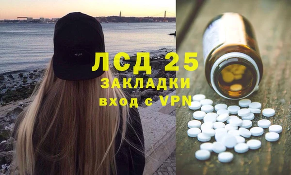 прущие грибы Алексин