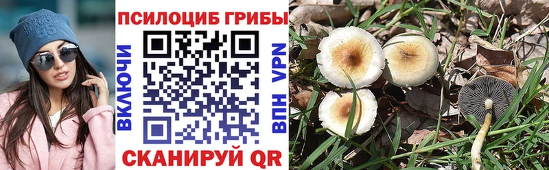 hydra ссылка  закладки  Злынка  Галлюциногенные грибы мухоморы 